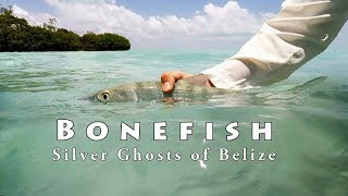 Bonefishing on the Fly in Ambergris Caye Belize [upl. by Joette]