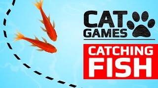 CAT GAMES  CATCHING FISH ENTERTAINMENT VIDEOS FOR CATS TO WATCH [upl. by Malliw]