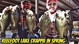 REELFOOT LAKE BIG BLACK SPRING SLABS Full eps [upl. by Eniamej]