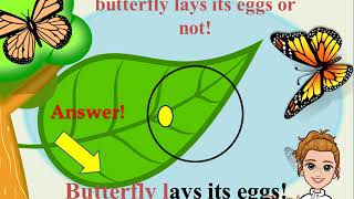 What is Oviparous and Viviparous [upl. by Judye]