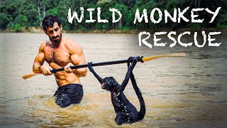 Wild Spider Monkey Rescue [upl. by Fendig]