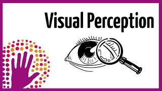 Visual Perception – How It Works [upl. by Ynottirb]