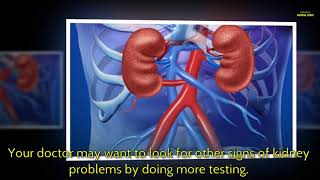 Blood test eGFR  Kidney disease tests [upl. by Etac]