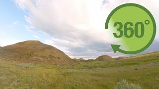 Grasslands in 360 [upl. by Epilif]