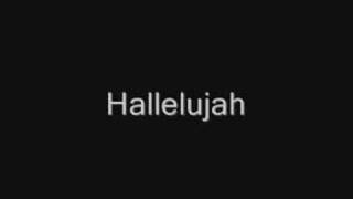 John Cale  Hallelujah Lyrics best version [upl. by Titos367]