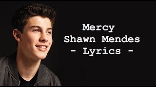 Shawn Mendes  Mercy LYRICS [upl. by Adehsor]