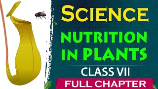 7th Nutrition in plants Full Chapter  class 7 science CBSE 7th science NCERT class 7 Gradebooster [upl. by Jen]