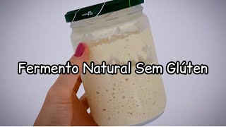 Aprenda a Fazer seu Fermento Natural Sem Glúten  Levain [upl. by Stillmann411]