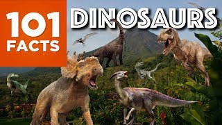 101 Facts About Dinosaurs [upl. by Timms]