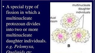 PLASMOTOMY Biology Class 12th  Chapter 1 [upl. by Willie]