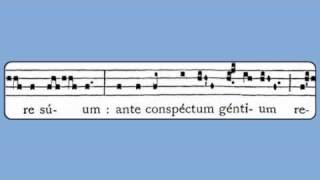 Viderunt Omnes Christmas Gradual [upl. by Aihsiym41]