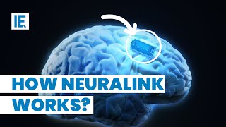 Elon Musk’s Neuralink gets FDA Approval See How It Works [upl. by Arem675]