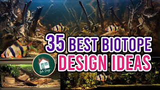 35 Biotope Aquarium Design Ideas [upl. by Ahaelam289]