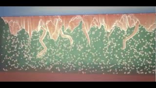 Inside Lithium Battery lecture  dendrite formation  chargedischarge amp natural recovery [upl. by Stochmal73]