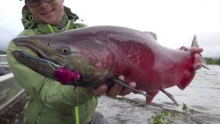 Angeln auf Lachs in Alaska Ein wildes Wasser [upl. by Joelie]