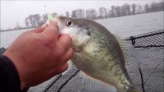 Crappie Fishing Reelfoot Lake Destinationcrappiecom [upl. by Rachele]