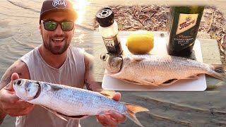 How To Catch Mullet Using A Float amp Bread  Catch N Cook [upl. by Dinesh]