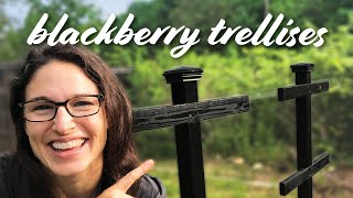 Blackberry Trellis DesignBuild — DIY Start to Finish [upl. by Ainotahs]