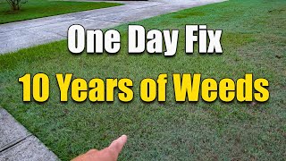 How to Fix an Ugly Lawn  Killing Lawn Weeds [upl. by Ailssa]