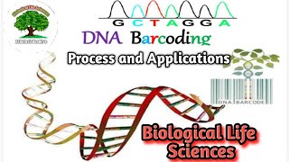 DNA Barcoding Process and Applications [upl. by Suellen]