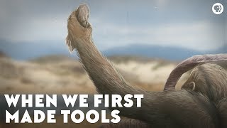 When We First Made Tools [upl. by Klaus]