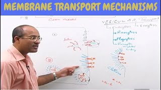 Cell Membrane Transport  Plasma Membrane Transport  Cell Biology🩸 [upl. by Garnes]