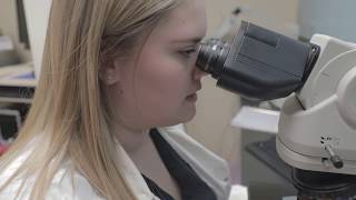 What does a Medical Laboratory Scientist do [upl. by Felicie878]