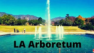 Walking tour of Los Angeles County Arboretum amp Botanic Garden in Arcadia CA 4K [upl. by Baumann]