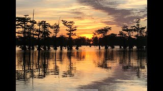 ReelFoot Lake  Bluegill Fishing Resort Reviews and Catfishing [upl. by Brace675]