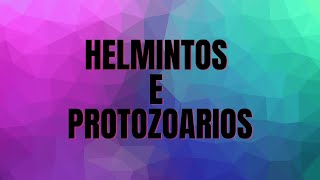 HELMINTOS E PROTOZOÁRIOS [upl. by Elspet]