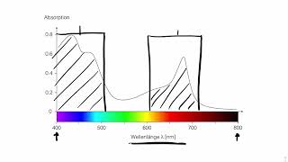 Absorptionsspektrum der Chloroplasten  oder wieso sind Blätter grün [upl. by Chappell]