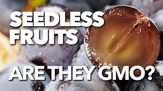 Are seedless fruits GMOs [upl. by Ecydnarb]