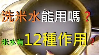 🍅洗米水能用嗎？ 米水有12種作用？ [upl. by Annahs]