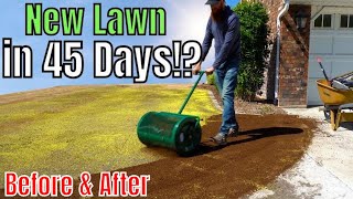 How to Plant a New Lawn with 4 Easy Steps [upl. by Devinna298]