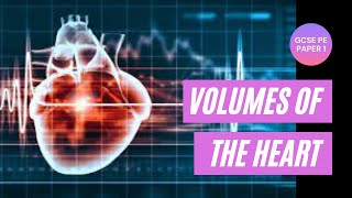 GCSE PE Stroke Volume Cardiac Output and Heart Rate [upl. by Anaerdna]