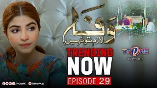 Wafa Lazim To Nahi  Episode 29  TV One Drama [upl. by Diandre]