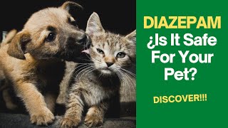 🐶🐱DIAZEPAM For DOGS AND CATS Dose and Use💊 [upl. by Erialc927]