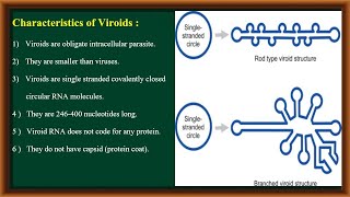 Viroids [upl. by Scharf57]