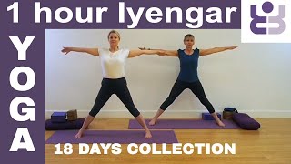 One Hour Iyengar Yoga Class  18 Days of Yoga Collection [upl. by Nalyak]