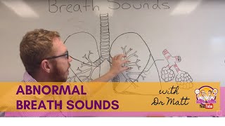 Abnormal Breath Sounds  Respiratory System [upl. by Crandall952]