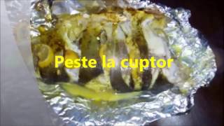 PESTE LA CUPTOR  VIDEO RETETA [upl. by Nelyaw]