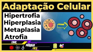 Adaptações celulares Hipertrofia Hiperplasia Atrofia Metaplasia Atualizado [upl. by Akiwak626]