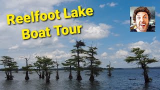 Reelfoot Lake State Park Wildlife Boat Tour  The Lake Made by an Earthquake  Tiptonville Tennessee [upl. by Anikram]