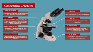 Microscópio  Partes do Microscópio Óptico [upl. by Ennayelsel]