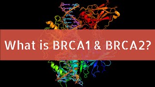 What is BRCA1 and BRCA2 [upl. by Htesil]