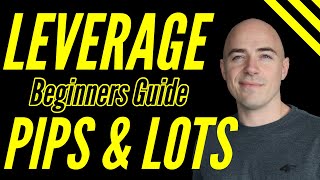 Forex Leverage for Beginners Explained lot sizes and pips [upl. by Boyt]