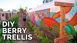 How To Build A Raspberry Trellis  Keep Your Berries Producing For YEARS [upl. by Dott560]