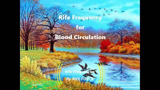 Blood Circulation  Rife Frequency [upl. by Greyso919]