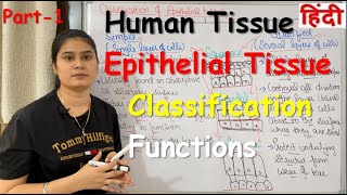 Tissue in Hindi  Epithelial Tissue  Functions  Classification  Part1 [upl. by Hepsiba]