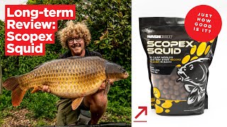 Longterm carp bait review Nashbaits Scopex Squid [upl. by Adiaj]